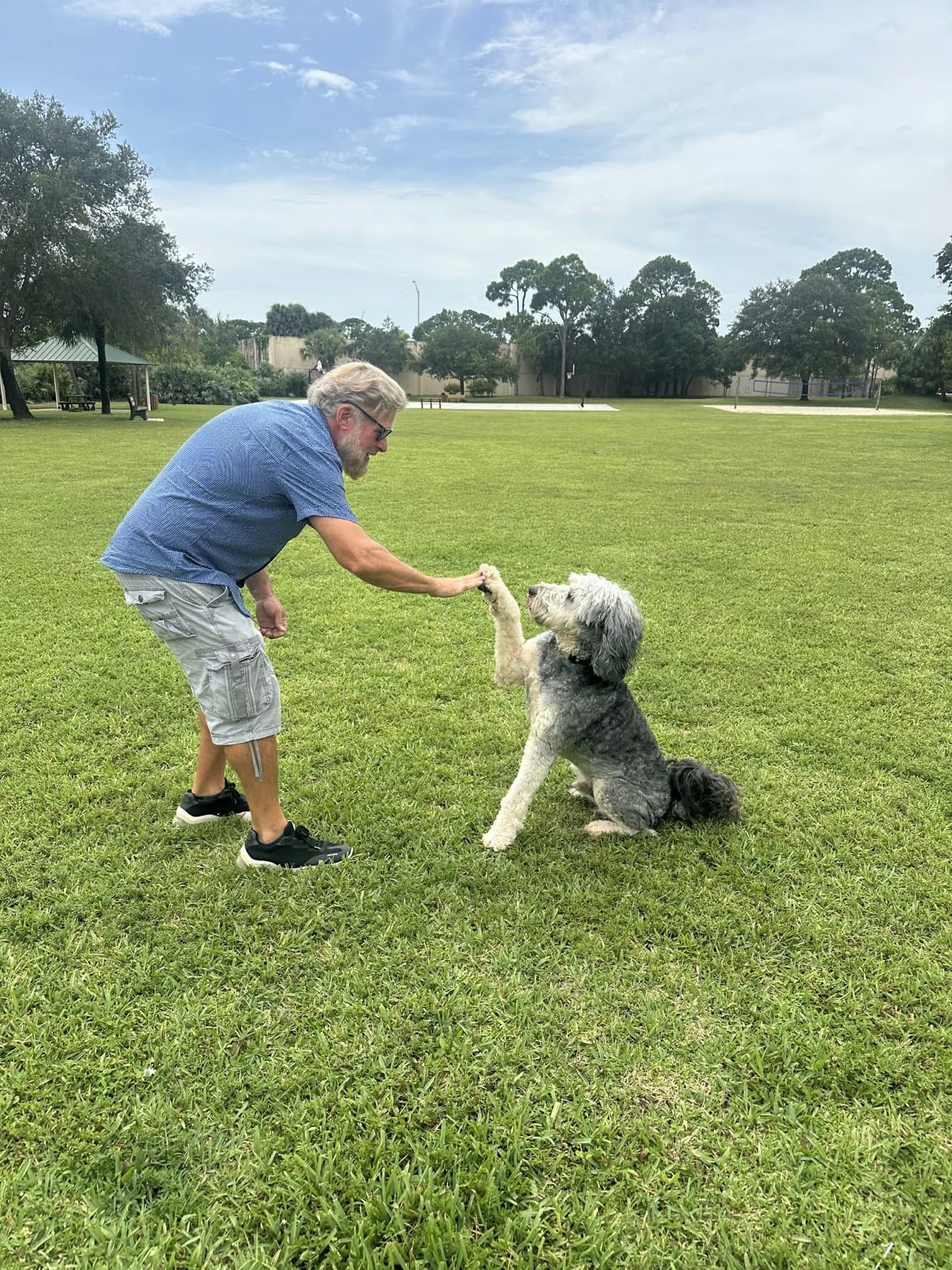 Greg shaking hands with a dog in a park.